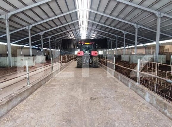 Spațiu industrial de vânzare Vest - 150161SVI | BLITZ Dej | Poza15