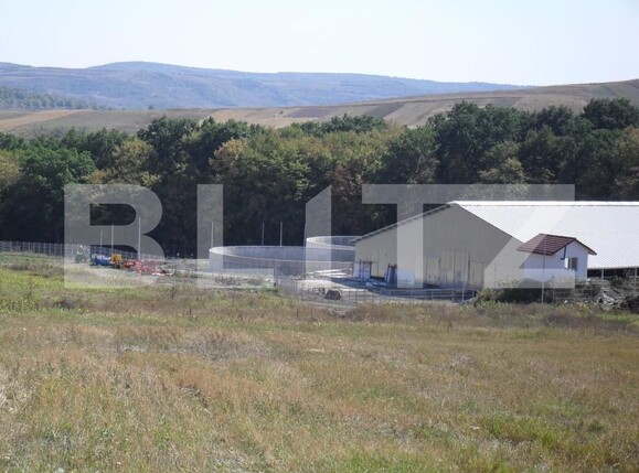 Spațiu industrial de vânzare Vest - 150161SVI | BLITZ Dej | Poza9