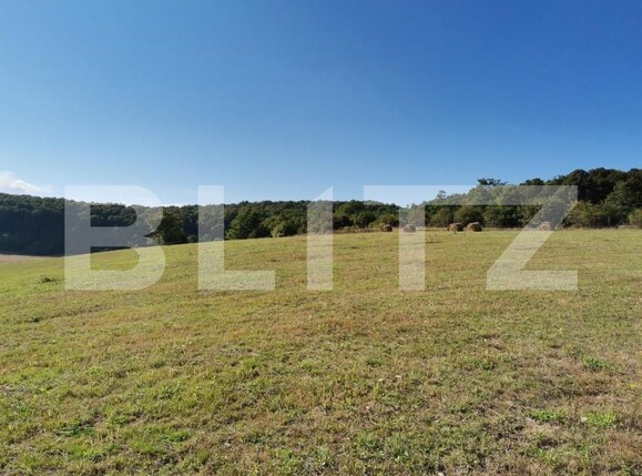 Spațiu industrial de vânzare Vest - 150161SVI | BLITZ Dej | Poza19