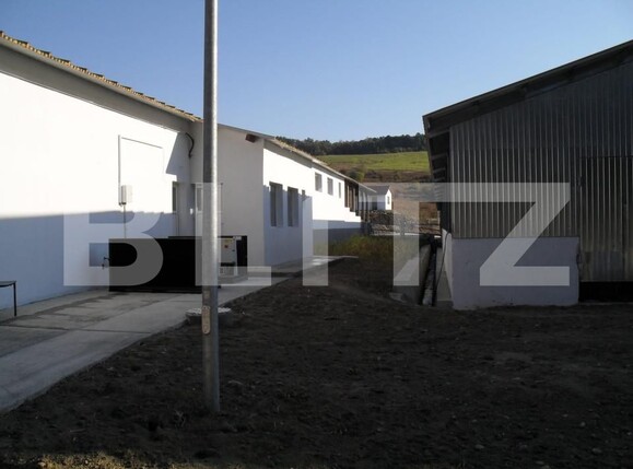 Spațiu industrial de vânzare Vest - 150161SVI | BLITZ Dej | Poza13