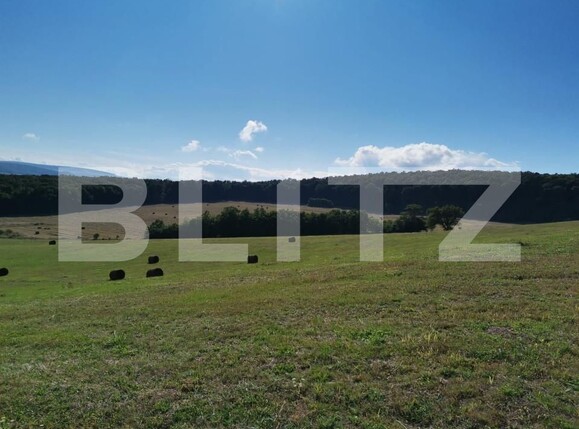 Spațiu industrial de vânzare Vest - 150161SVI | BLITZ Dej | Poza20