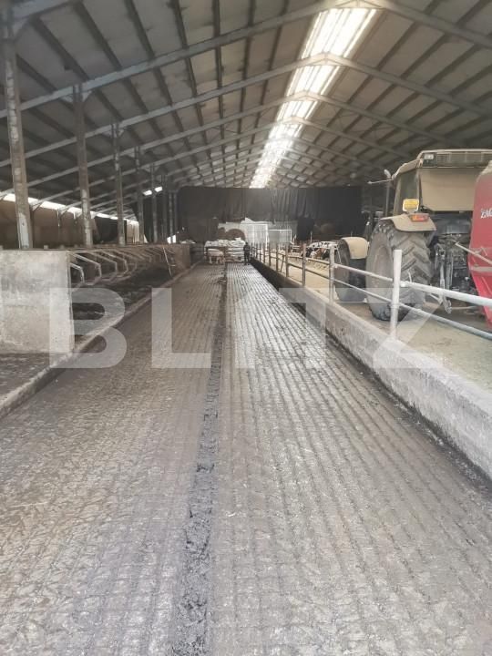 Spațiu industrial de vânzare Vest - 150161SVI | BLITZ Dej | Poza9