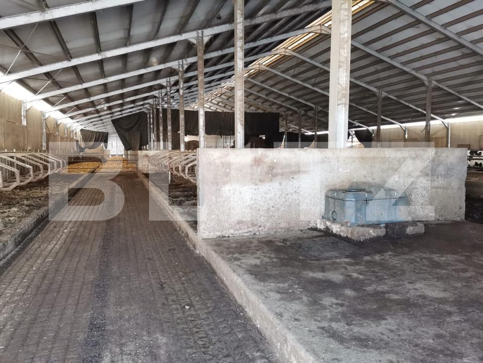 Spațiu industrial de vânzare Vest - 150161SVI | BLITZ Dej | Poza10