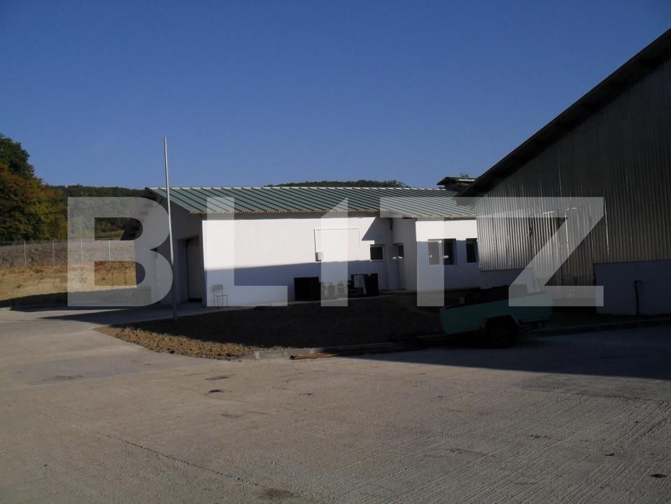 Spațiu industrial de vânzare Vest - 150161SVI | BLITZ Dej | Poza19
