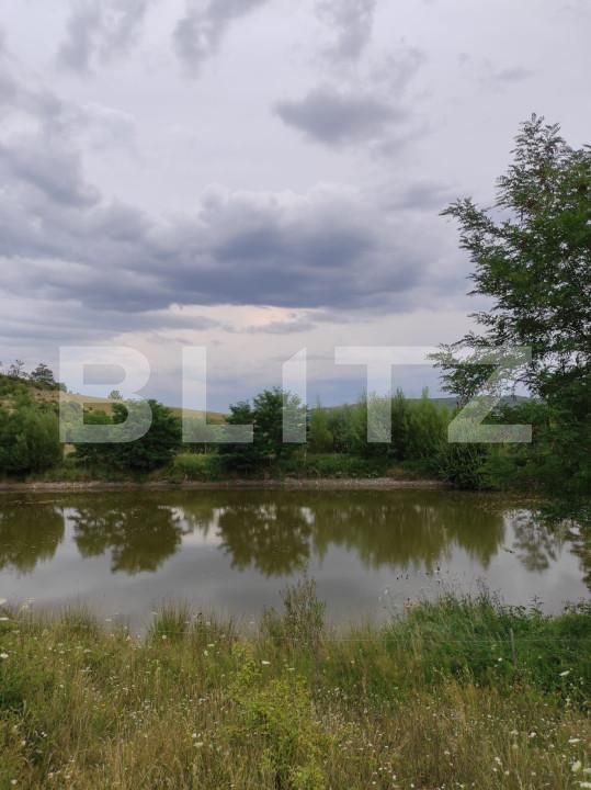 Spațiu industrial de vânzare Vest - 150161SVI | BLITZ Dej | Poza3