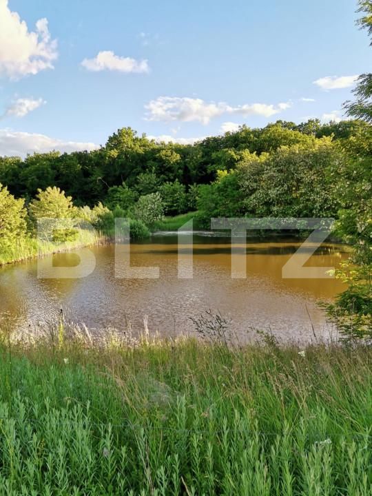 Spațiu industrial de vânzare Vest - 150161SVI | BLITZ Dej | Poza12