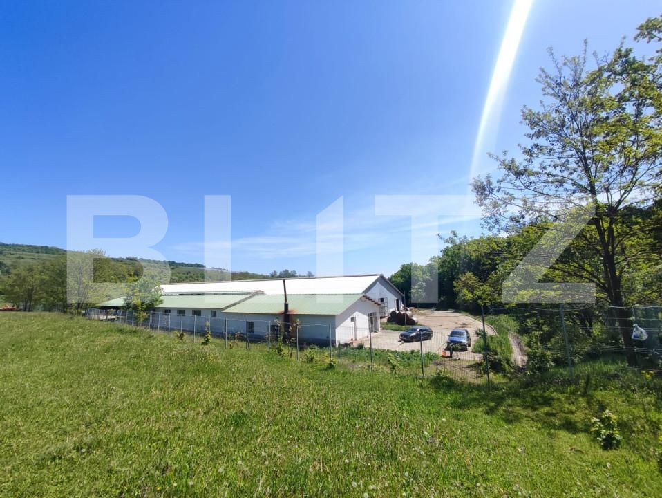 Spațiu industrial de vânzare Vest - 150161SVI | BLITZ Dej | Poza6