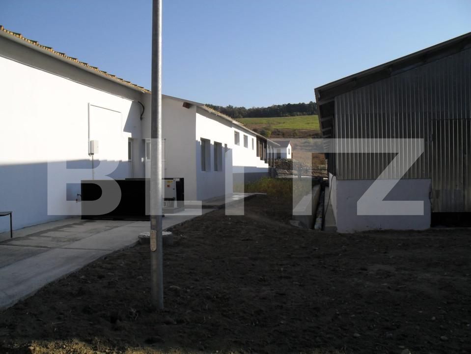 Spațiu industrial de vânzare Vest - 150161SVI | BLITZ Dej | Poza13