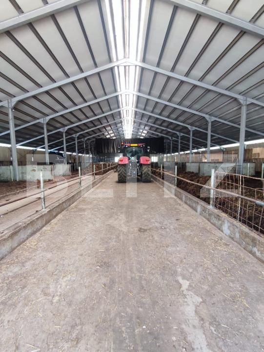 Spațiu industrial de vânzare Vest - 150161SVI | BLITZ Dej | Poza8