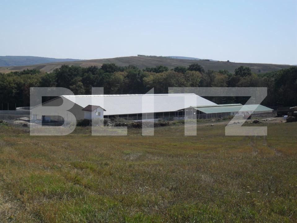 Spațiu industrial de vânzare Vest - 150161SVI | BLITZ Dej | Poza3