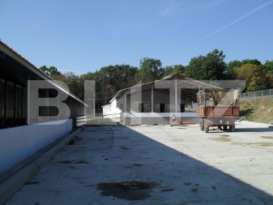 Spațiu industrial de vânzare Vest - 150161SVI | BLITZ Dej | Poza11
