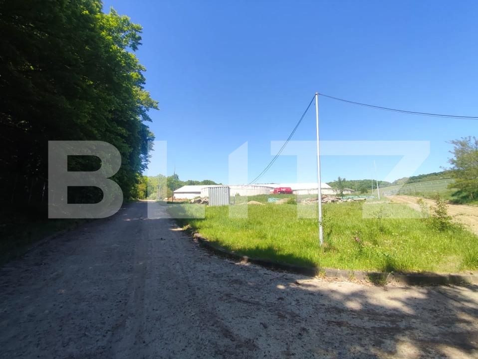 Spațiu industrial de vânzare Vest - 150161SVI | BLITZ Dej | Poza22