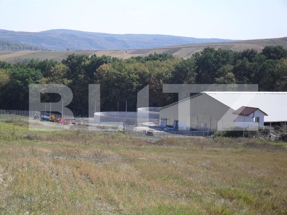 Spațiu industrial de vânzare Vest - 150161SVI | BLITZ Dej | Poza9