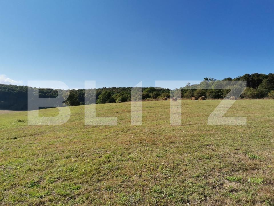 Spațiu industrial de vânzare Vest - 150161SVI | BLITZ Dej | Poza19