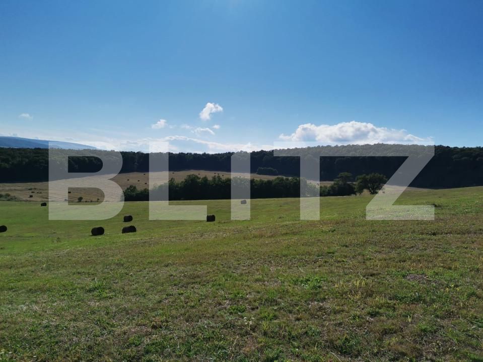 Spațiu industrial de vânzare Vest - 150161SVI | BLITZ Dej | Poza5