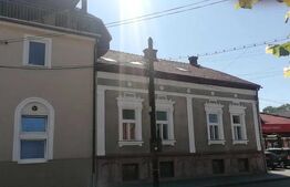 Spatiu comercial, casa veche si teren