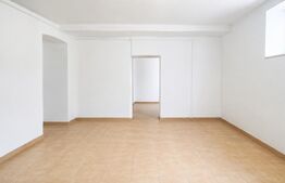 Spatiu comercial, casa veche si teren