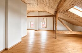 Spatiu comercial, casa veche si teren