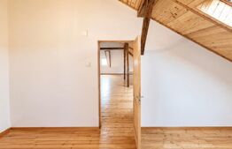 Spatiu comercial, casa veche si teren