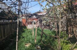 Spatiu comercial, casa veche si teren