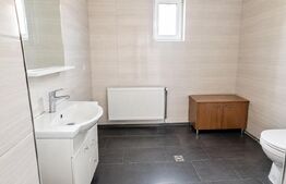 Spatiu comercial, casa veche si teren