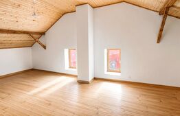 Spatiu comercial, casa veche si teren