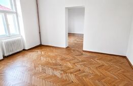 Spatiu comercial, casa veche si teren