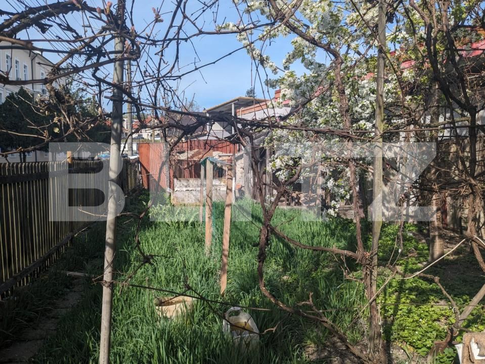 Spațiu comercial de vânzare Central - 150546SVC | BLITZ Dej | Poza13