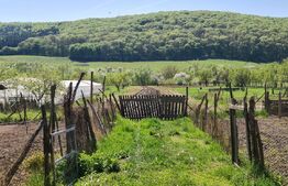 Vand Casa Fizesu Gherli cu teren de 39 ari