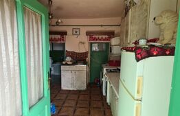 Casa batraneasca renovabila , zona centrala 