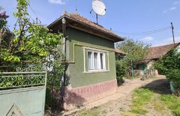 Casa batraneasca renovabila , zona centrala 