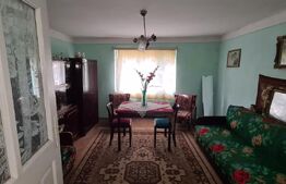 Casa batraneasca renovabila , zona centrala 