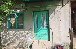 Casa batraneasca renovabila , zona centrala 