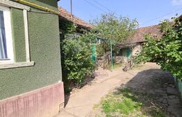 Casa batraneasca renovabila , zona centrala 