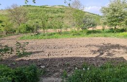 Casa batraneasca renovabila , zona centrala 