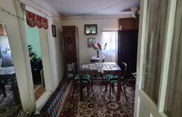 Casa batraneasca renovabila , zona centrala 