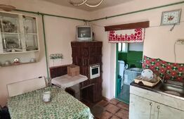 Casa batraneasca renovabila , zona centrala 