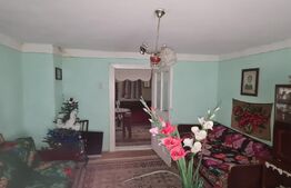 Casa batraneasca renovabila , zona centrala 