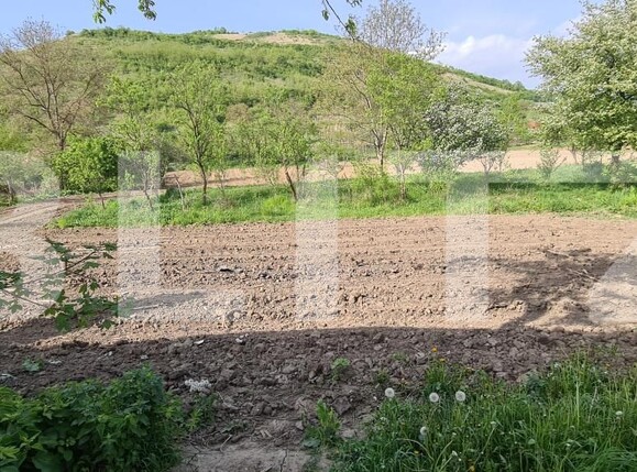 Casa de vânzare 3 camere Fizesu Gherlii  - 152007CV | BLITZ Dej | Poza14