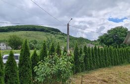 Casă de vânzare,  zonă deosebită , teren generos,Sălișca