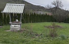 Casă de vânzare,  zonă deosebită , teren generos,Sălișca