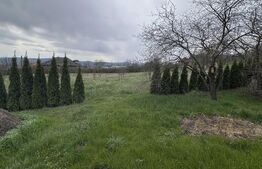 Casă de vânzare,  zonă deosebită , teren generos,Sălișca