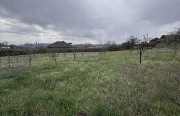 Casă de vânzare,  zonă deosebită , teren generos,Sălișca