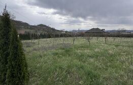 Casă de vânzare,  zonă deosebită , teren generos,Sălișca