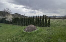 Casă de vânzare,  zonă deosebită , teren generos,Sălișca