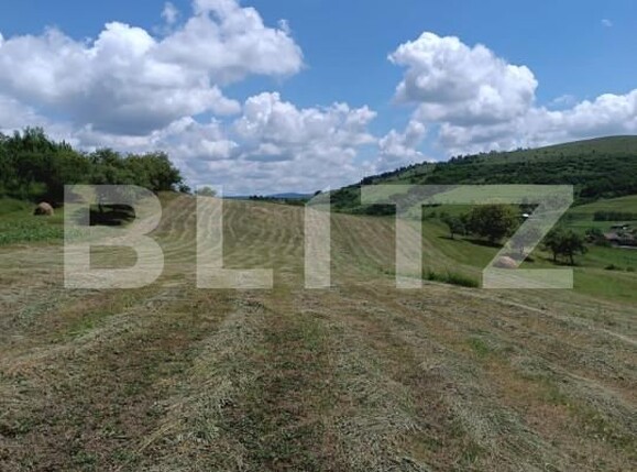 Teren de vânzare Sud - 152111TV | BLITZ Dej | Poza2