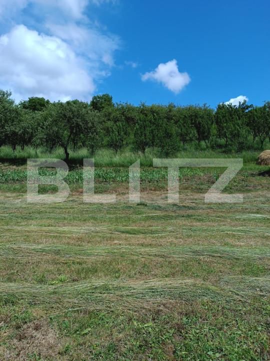 Teren de vânzare Sud - 152111TV | BLITZ Dej | Poza3