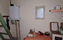 Casa cu 3 camere in viile Dejului