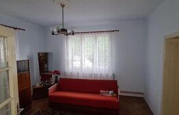 Casa cu 3 camere in viile Dejului