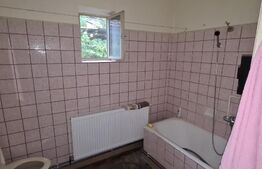 Casa cu 3 camere in viile Dejului